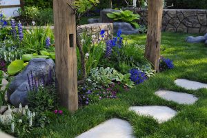 Stock image of purple flowers in suburban backyard