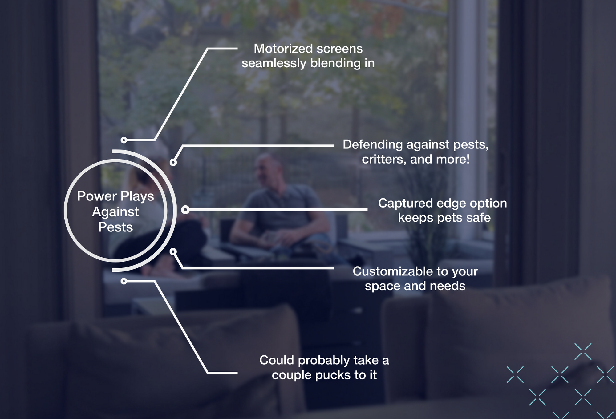 Phantom Screens infographic for bug protection